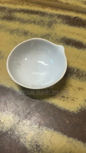 A Set of 10 Evaporating Dish 75mm