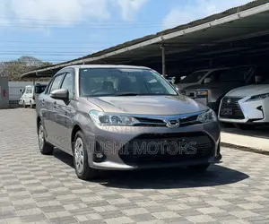 Toyota Axio 2018 Brown