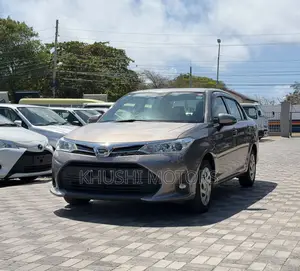 Toyota Axio 2018 Brown