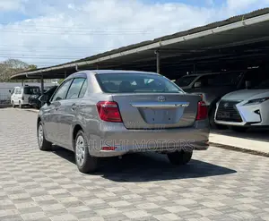 Toyota Axio 2018 Brown