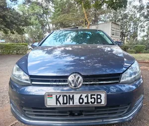 Volkswagen Golf Variant 2016 Blue