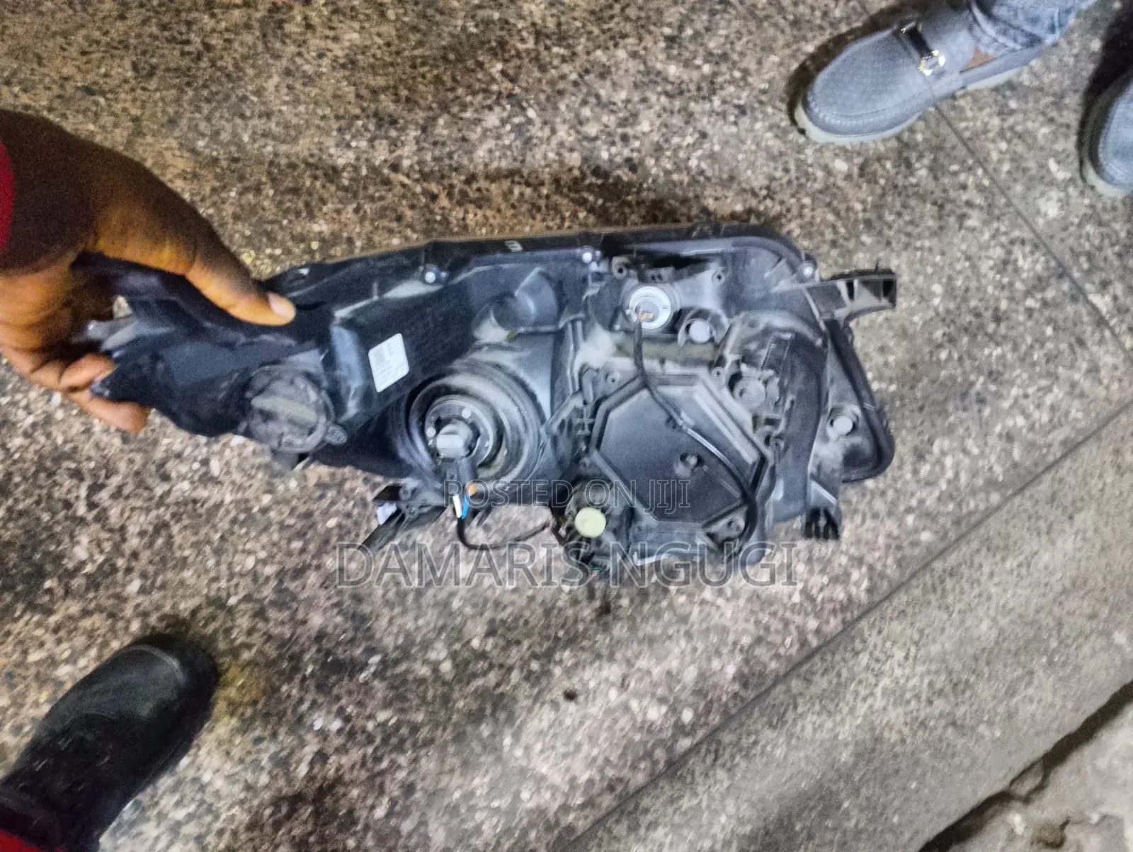 Noah Zr80 Xenon Headlight 2016/2017