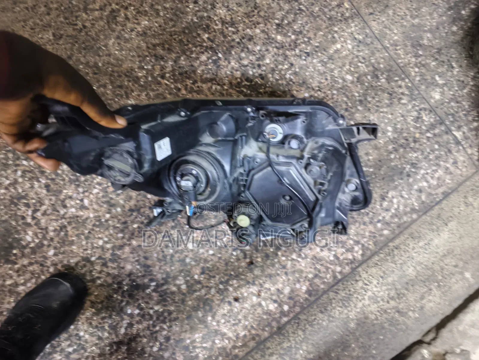 Noah Zr80 Xenon Headlight 2016/2017