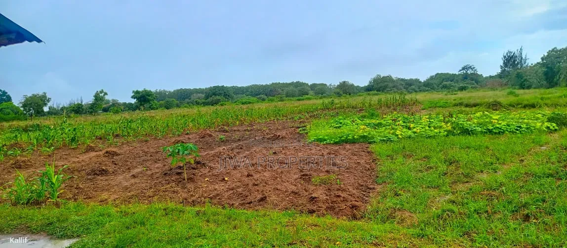 1/4 Acre (100ft by 100ft) Prime Plot for Sale in MNARANI, Kilifi