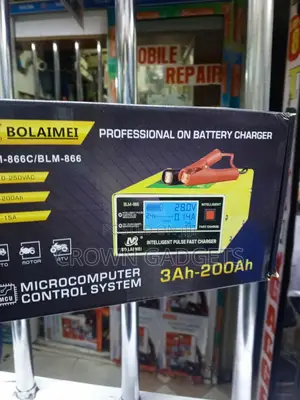 BLM-866C 12V 24V Smart Pulse Battery Charger With LCD