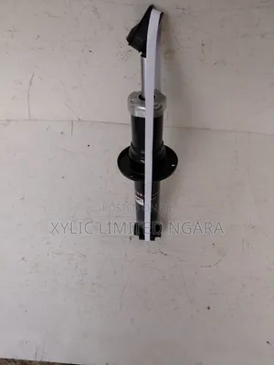 BMW X3 F25 Rear Shock Absorbers