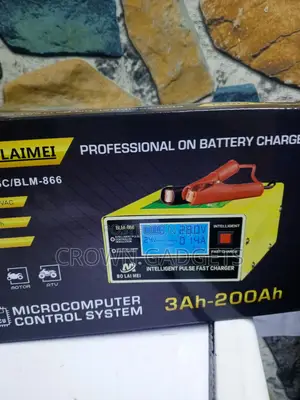 BLM-866 Professional Pulse Battery Charger With Digital Display