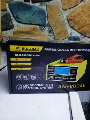 BLM-866 Professional Pulse Battery Charger With Digital Display