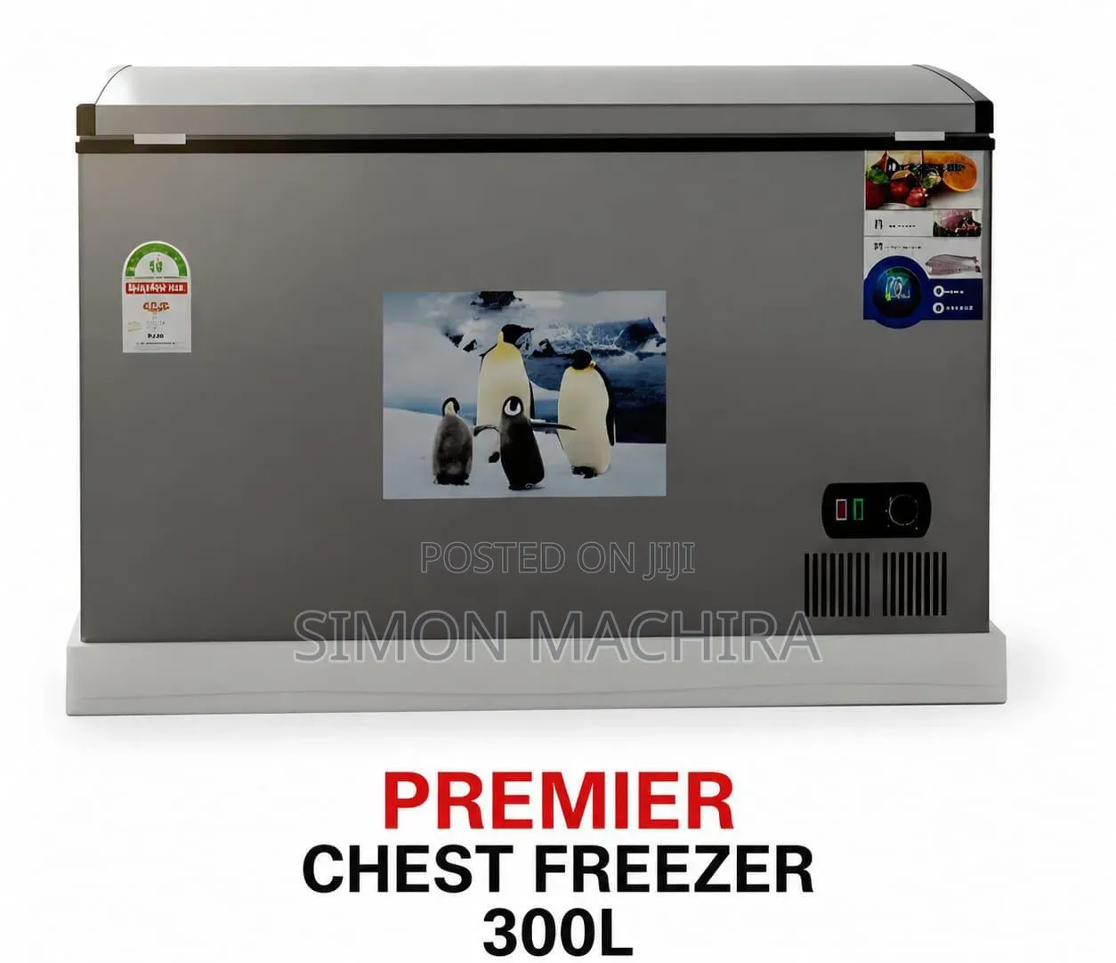 Premier 300L Chest Freezer