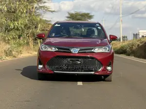 Toyota Axio 1.5 Hybrid G 2WD 2019 Maroon