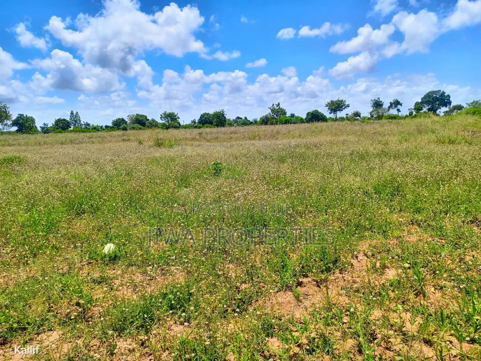 1/4 Acre (100ft by 100ft) Prime Plot for Sale in MNARANI, Kilifi