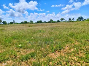 1/4 Acre (100ft by 100ft) Prime Plot for Sale in MNARANI, Kilifi