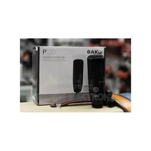 AKG P120 Cardioid Condenser Microphone (Black)