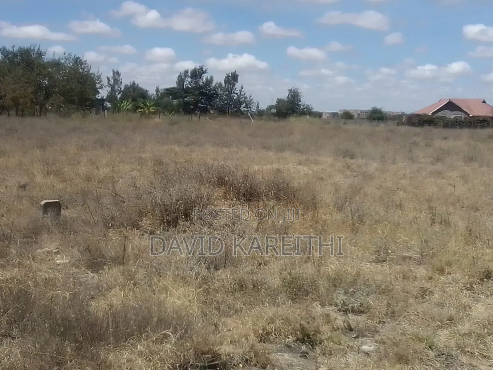 Kitengela Plots Ready for Quick Sale.