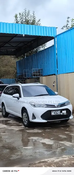 Toyota Corolla Fielder 2015 Pearl