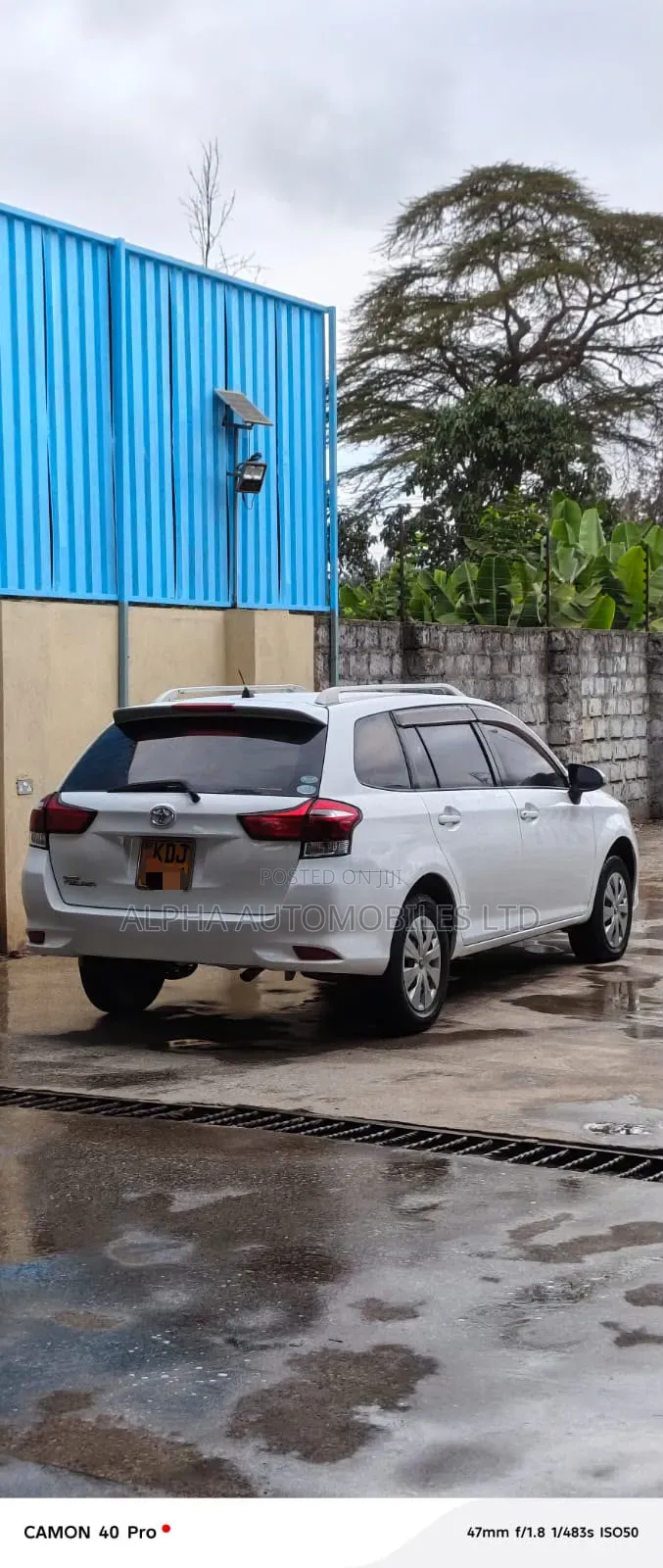 Toyota Corolla Fielder 2015 Pearl