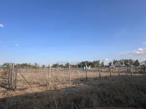 50*100 Plot Juja Farm