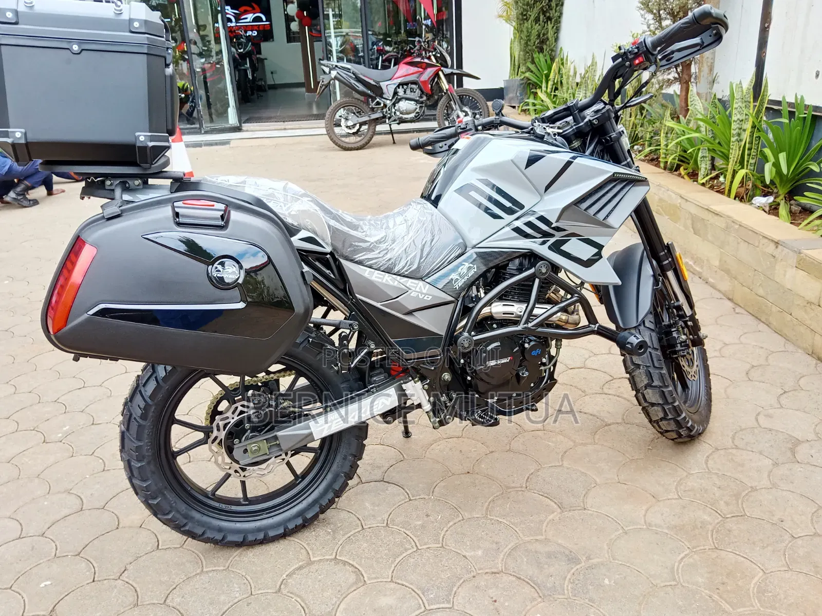 New Tekken Simba 250 2026 Gray
