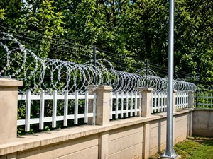 Professional Electric Fence Steel Fencing Solutions in Kenya