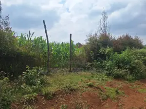 Prime Land for Sale in Riara Ridge, Tigoni