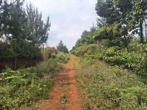 Prime Land for Sale in Riara Ridge, Tigoni