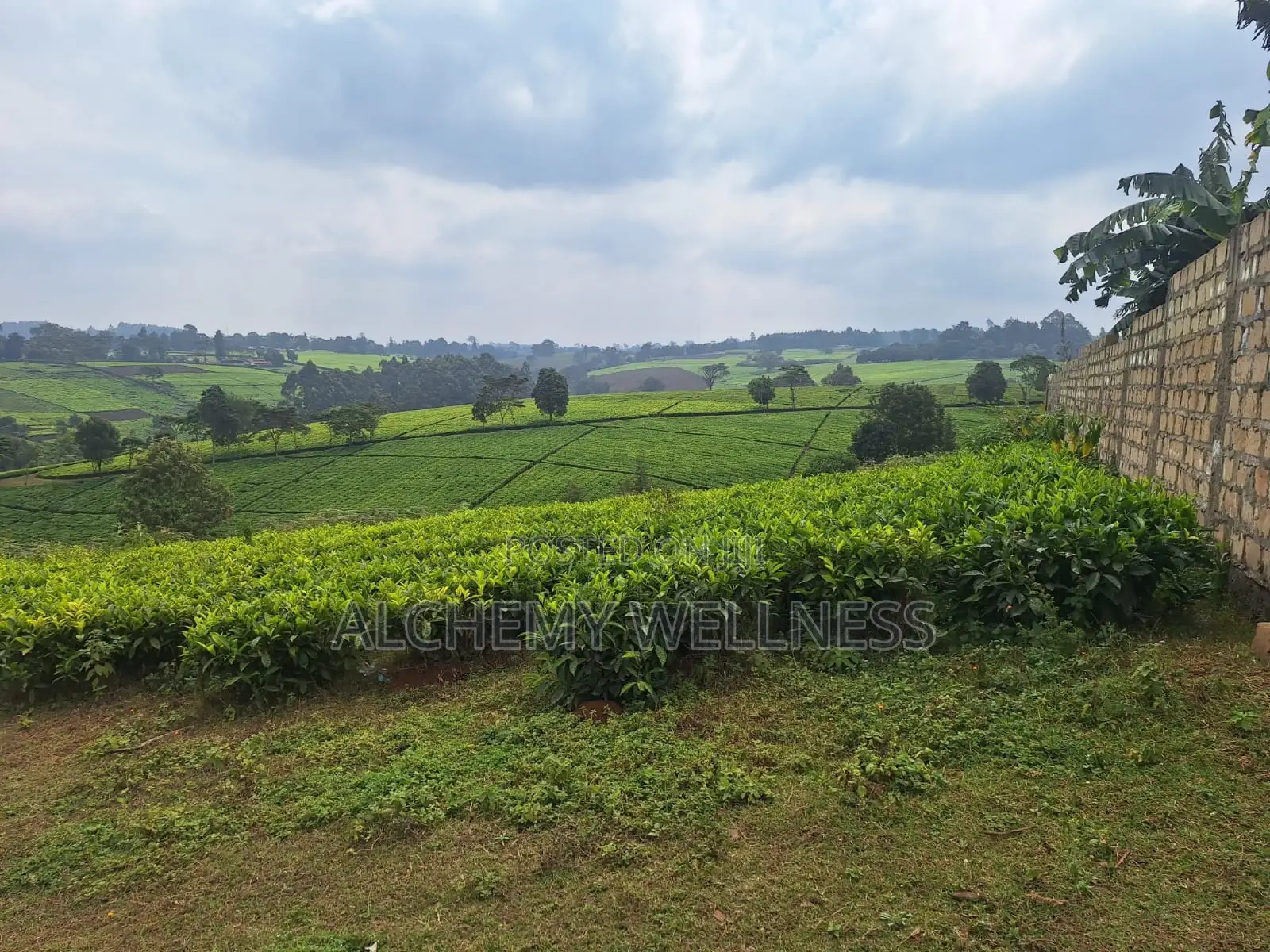 Prime Land for Sale in Riara Ridge, Tigoni