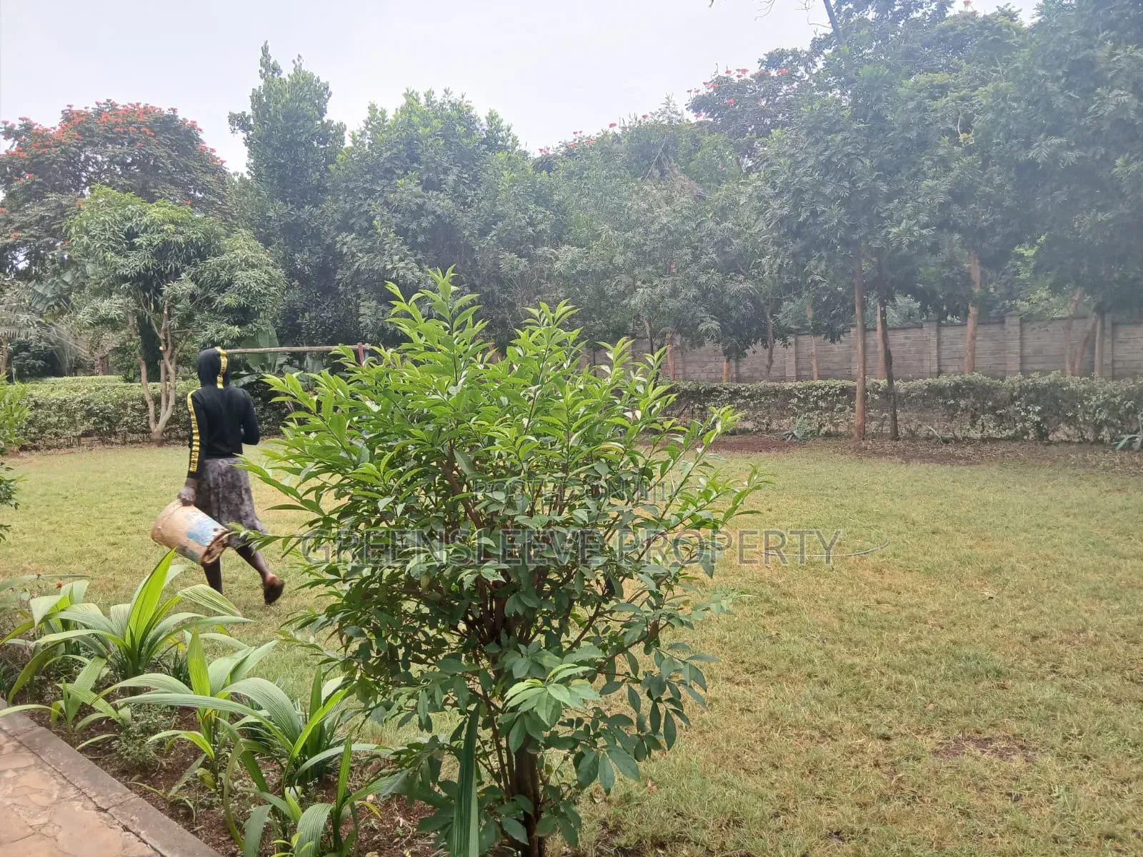 4bdrm House in Hardly, Karen C for rent