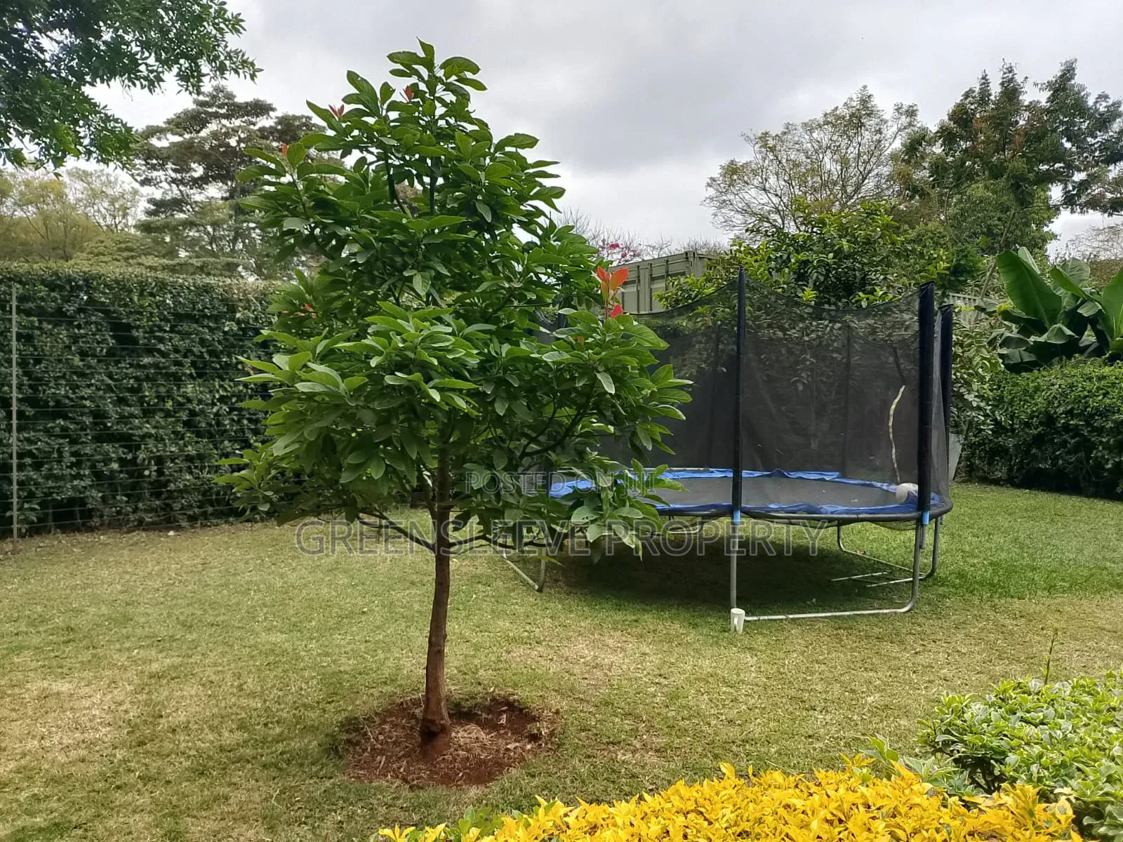 4bdrm House in Hardly, Karen C for rent