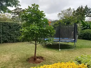 4bdrm House in Hardly, Karen C for rent