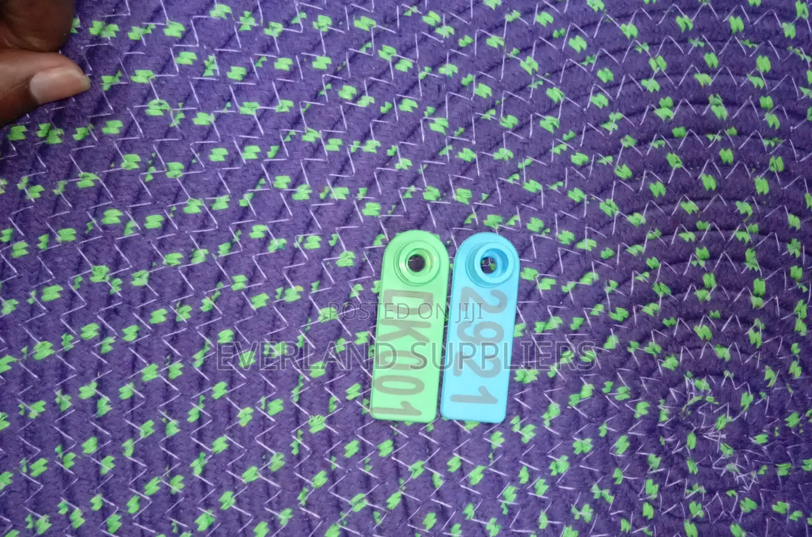 Sheep Ear Tags Livestock Identification Tags