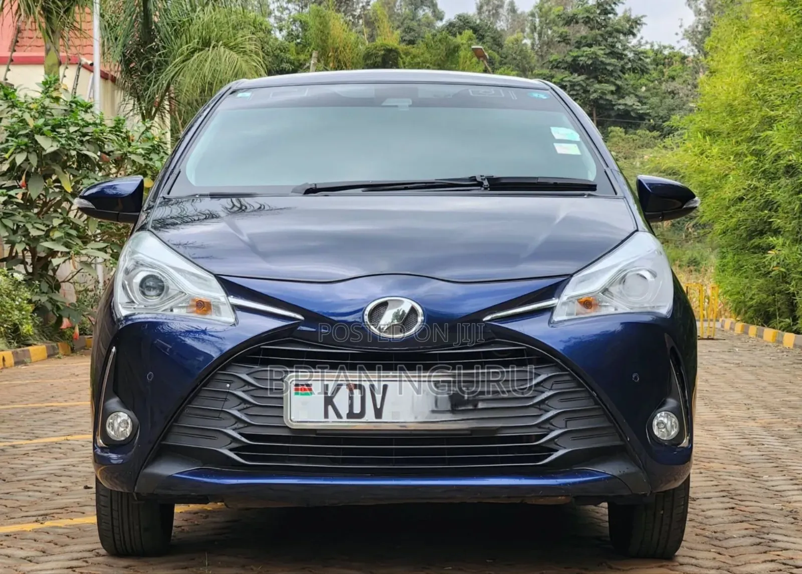 Toyota Vitz 2019 Blue