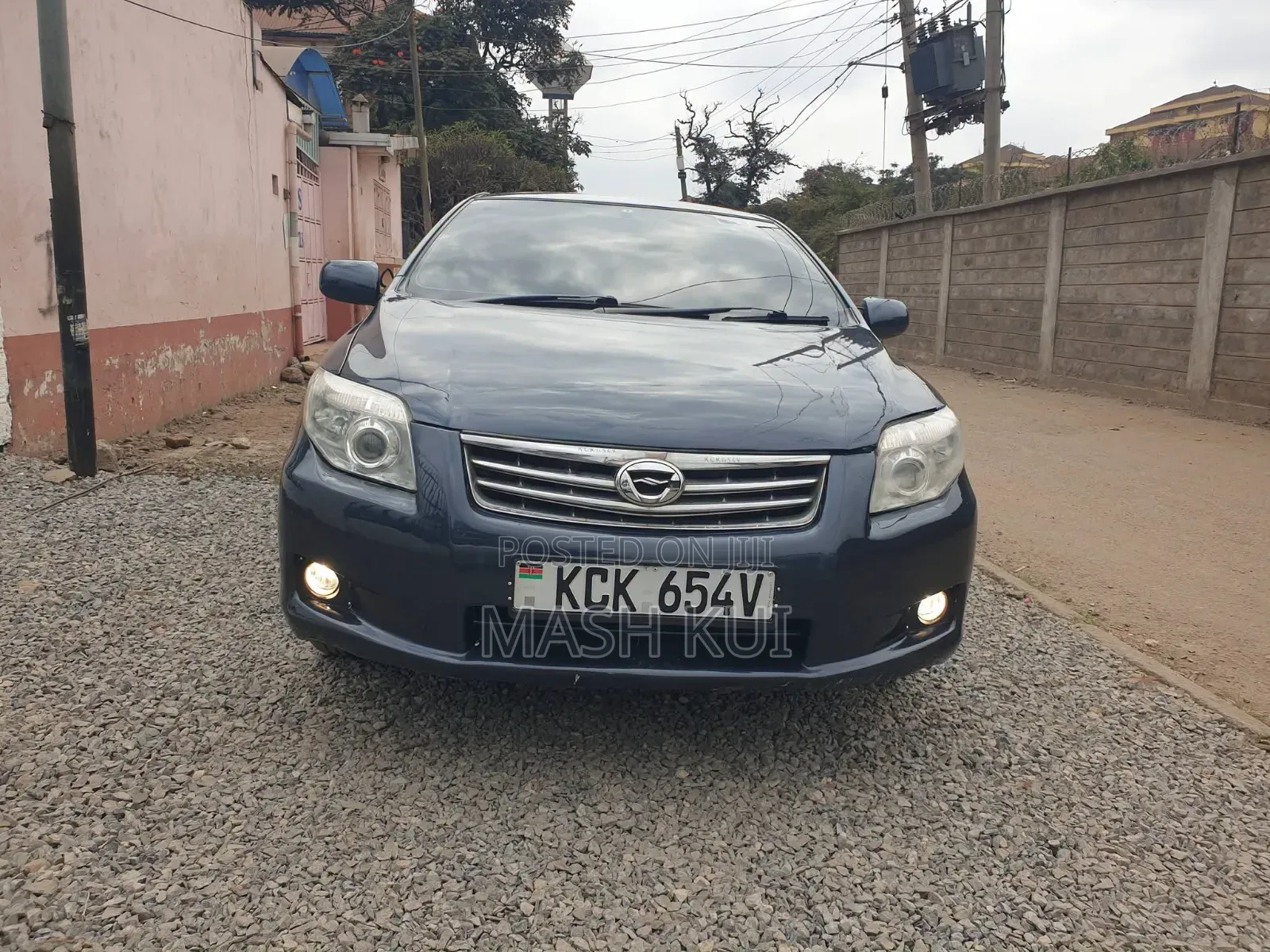 Toyota Axio 2010 Gray