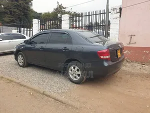 Toyota Axio 2010 Gray