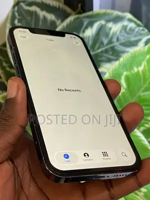 Apple iPhone 12 Pro 256 GB Blue