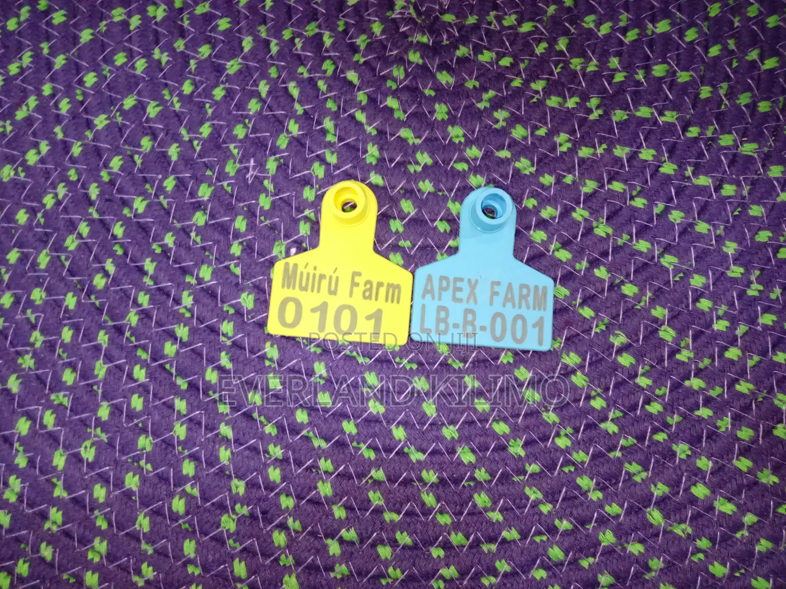 Laser Print Fade-Resistant Numbered Small Tags