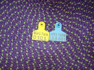 Laser Print Fade-Resistant Numbered Small Tags