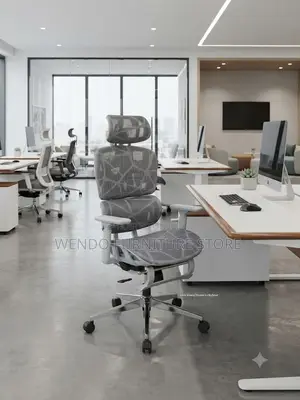 Office Chairs; Orthopedic Office Seat With Foldable Footrest