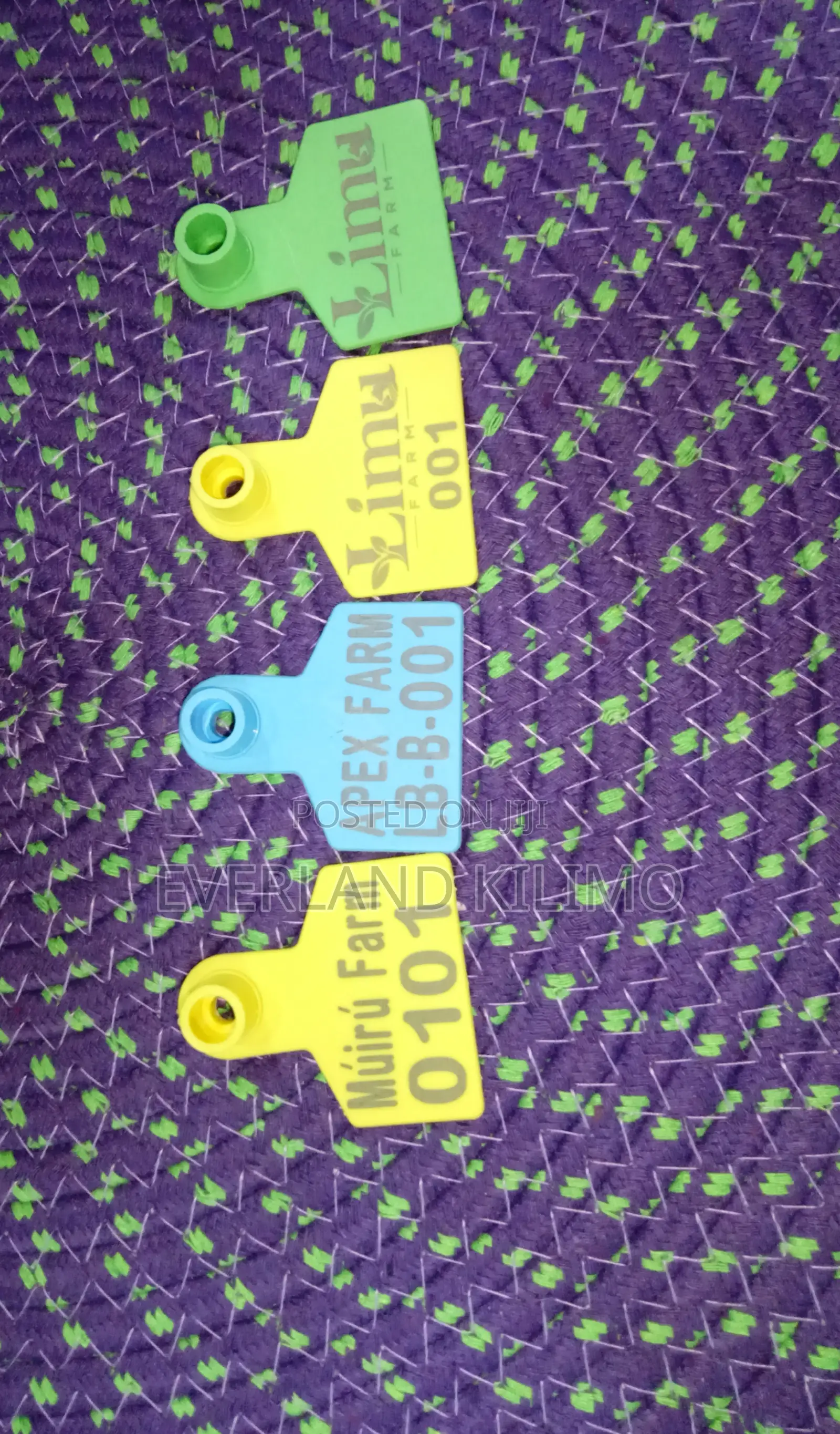 Ear Small Tags for Ranch for Goats Customized