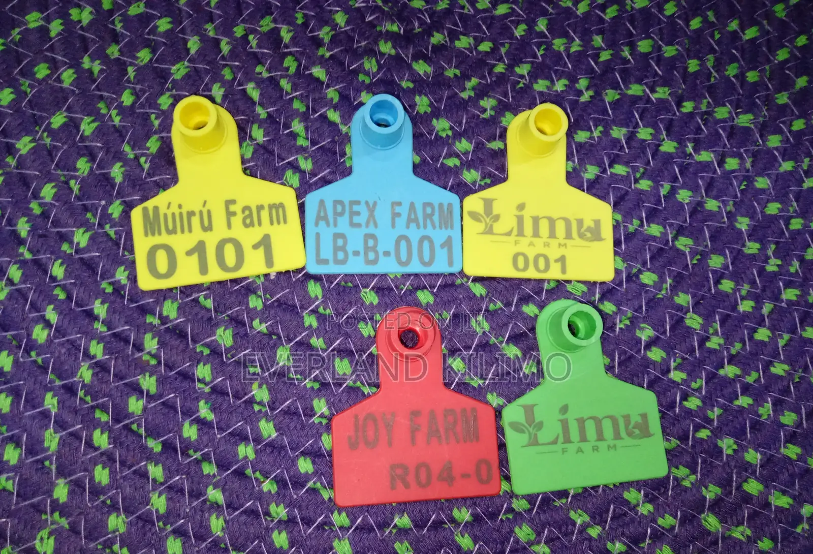 Sheep Ear Tags Customized