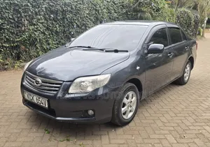 Toyota Axio 2009 Gray