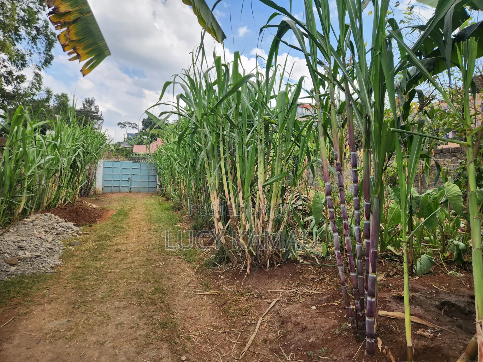 1⁄4 Acre Prime Commercial Plot