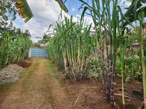1⁄4 Acre Prime Commercial Plot