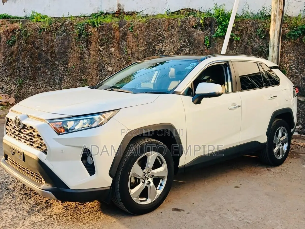 Toyota RAV4 Adventure 2019 White