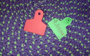 Colored Numbered Small Tags