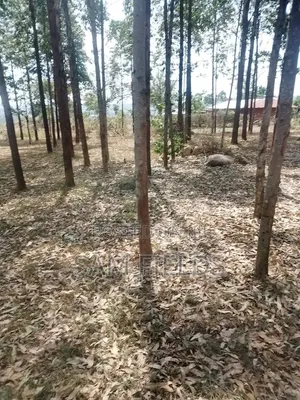 20 Acres on Sale