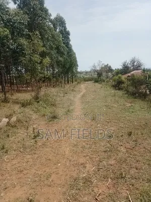 20 Acres on Sale