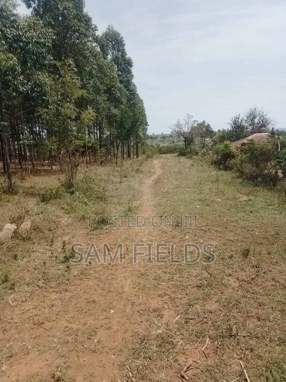 20 Acres on Sale