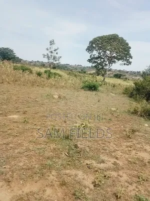 20 Acres on Sale