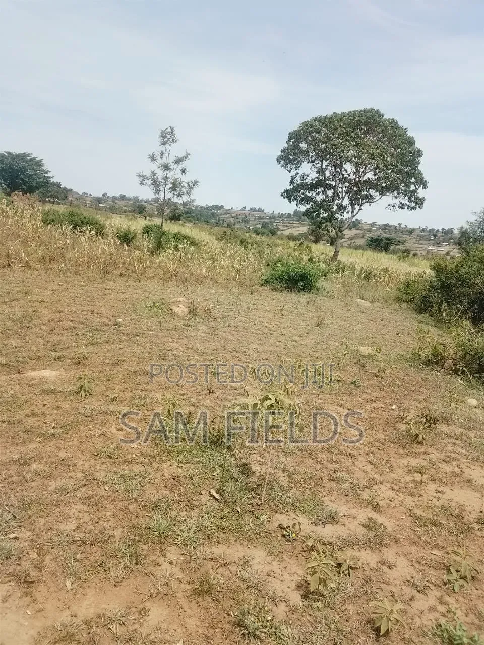 20 Acres on Sale