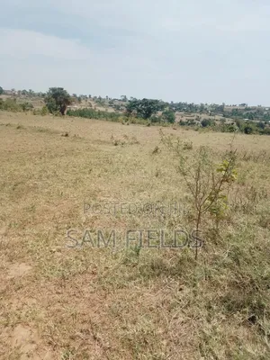 20 Acres on Sale